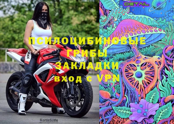 стаф Аркадак