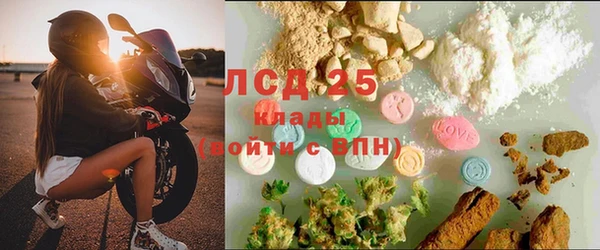 стаф Аркадак
