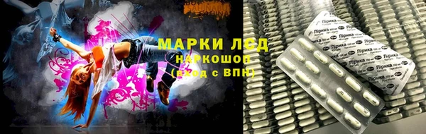 стаф Аркадак