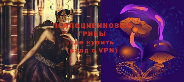 твердый Снежинск